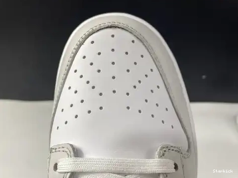 Dust" Dunk "Photon Nike Low DD1503-103 0622